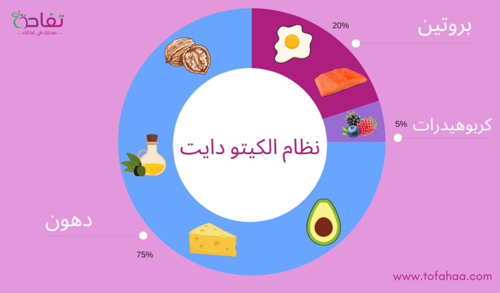 نظام الكيتو دايت بالتفصيل للمبتدئين
