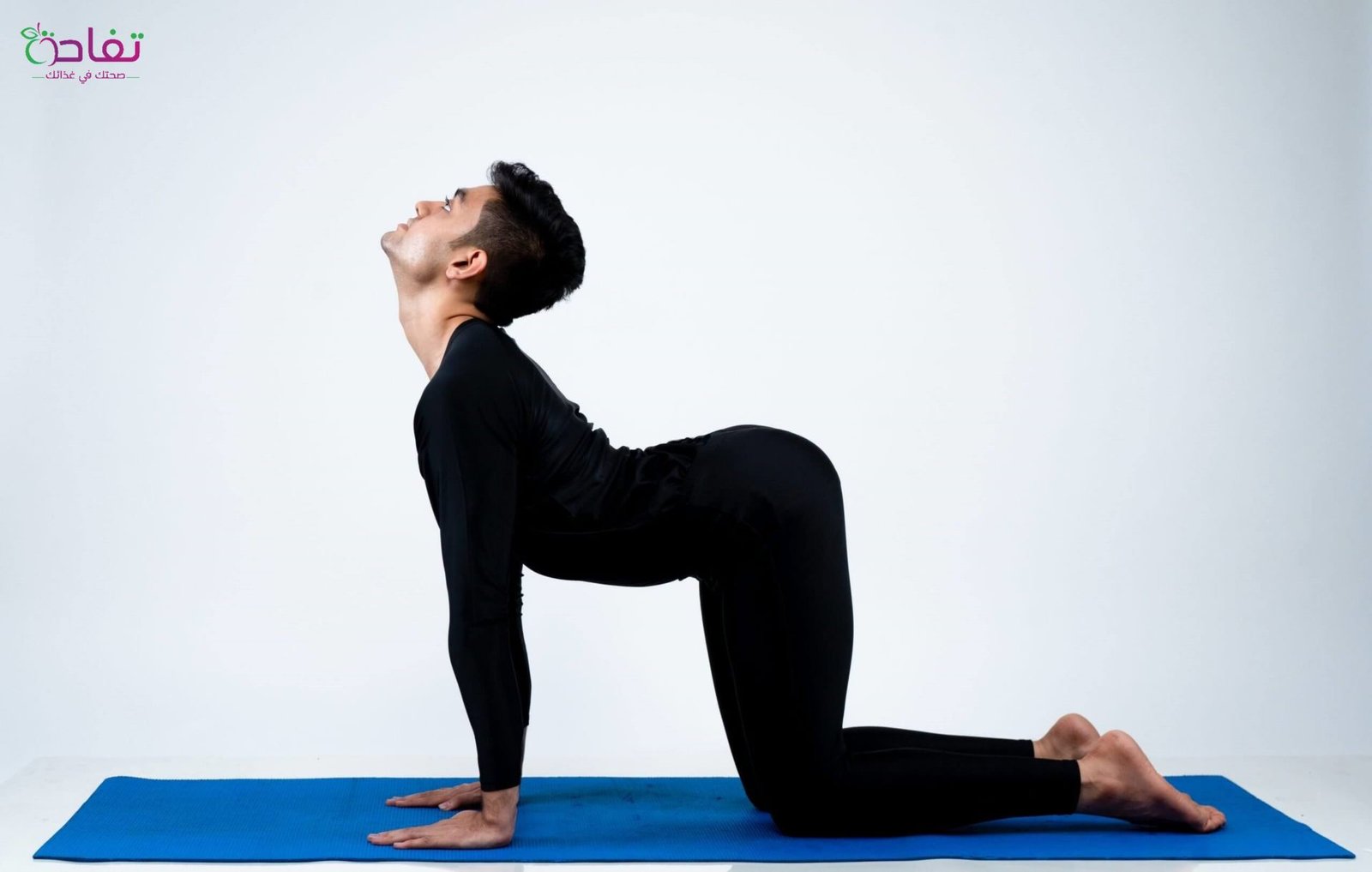 وضعية القط / البقرة (Cat-Cow pose)